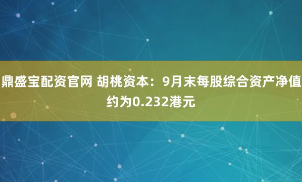 鼎盛宝配资官网 胡桃资本：9月末每股综合资产净值约为0.232港元