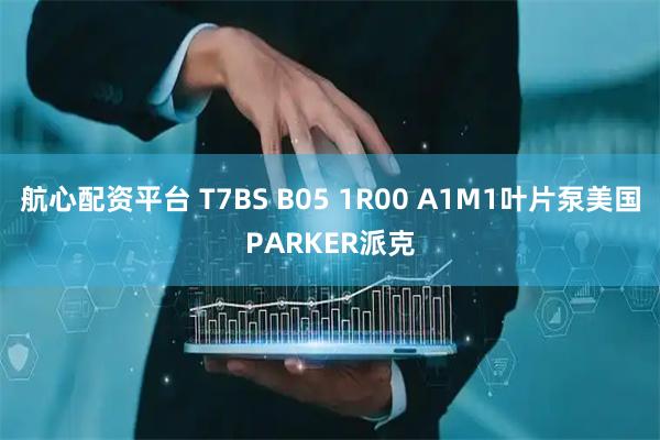航心配资平台 T7BS B05 1R00 A1M1叶片泵美国PARKER派克